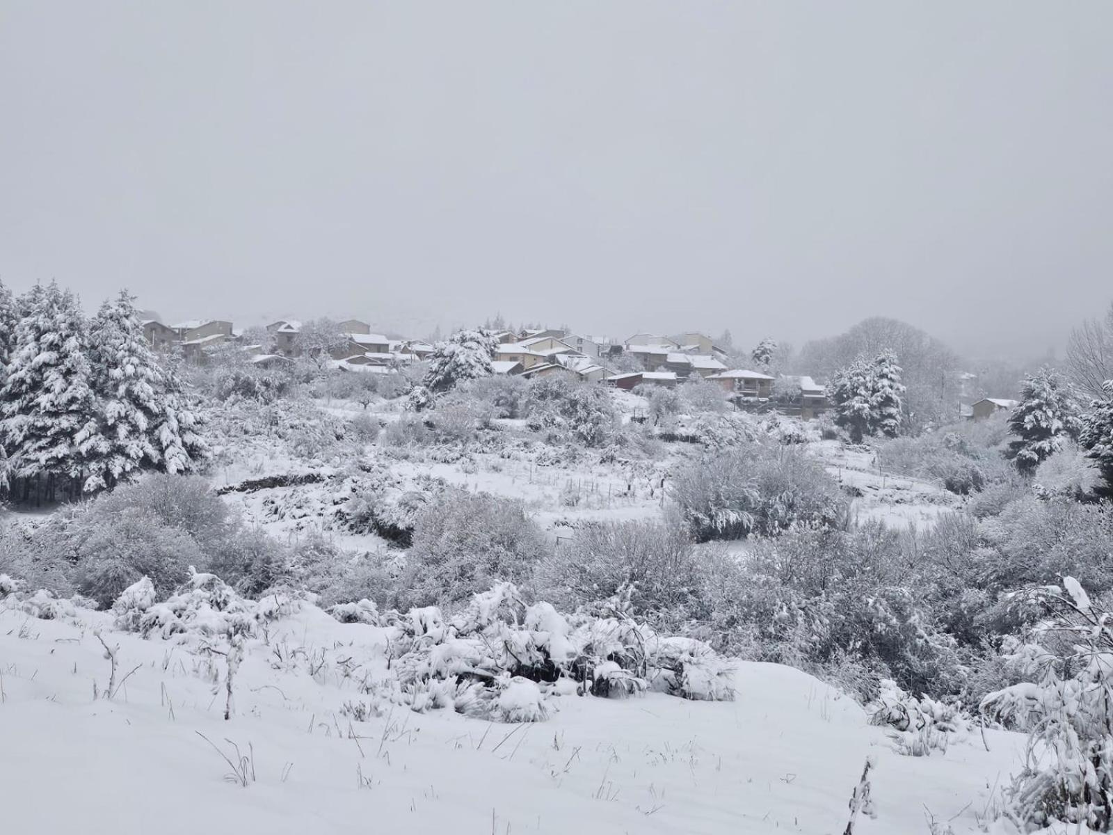 Вилла Pendan De Gredos Сан-Мартин-дель-Пимпольяр Экстерьер фото